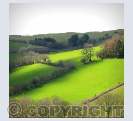 TYLWCH GREEN