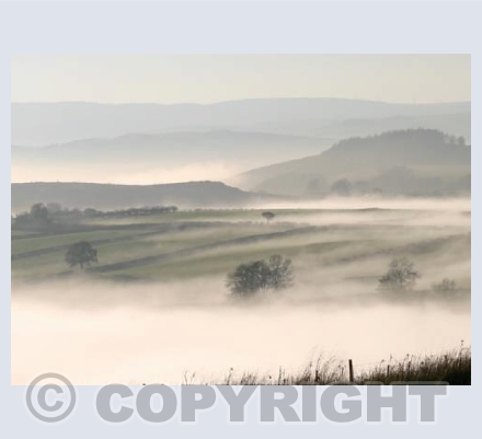MISTS of MOELFRE, POWYS WALES