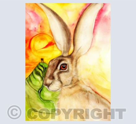 THE GLASTONBURY FESTIVAL HARE