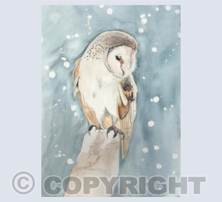 'ALL SOULS OWL'