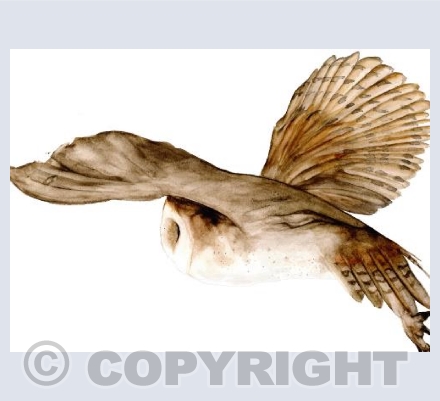 SILENT FLIGHT