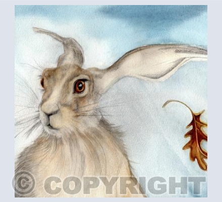 OAK LEAF HARE