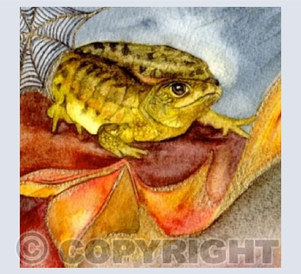 PALAMATE NEWT