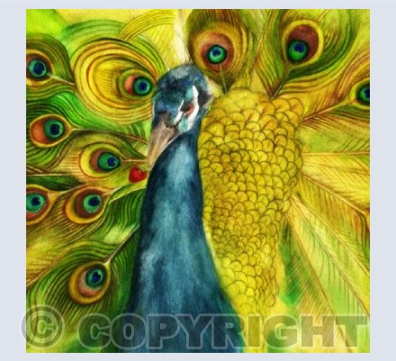 PEACOCKS LOVE STRAWBERRIES