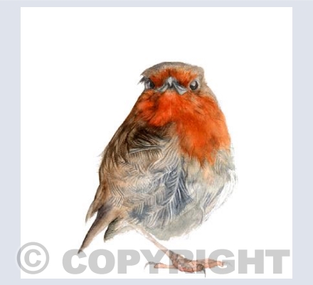 MR ROBIN by Zoe Spencer