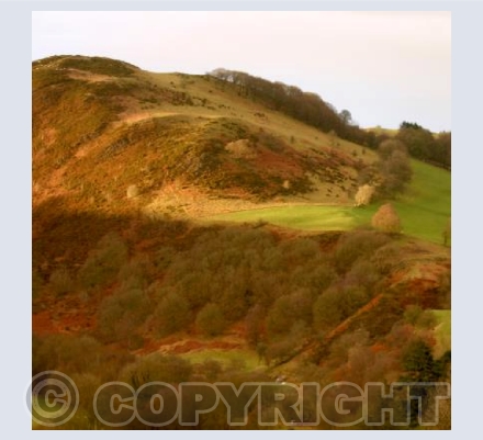 TYWLCH HILLS - Nr Llanidloes, Powys  WALES