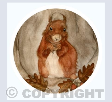MISS SQUIRREL 