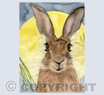 SUMMERS END HARE