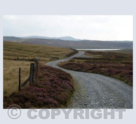 GLASLYN, POWYS