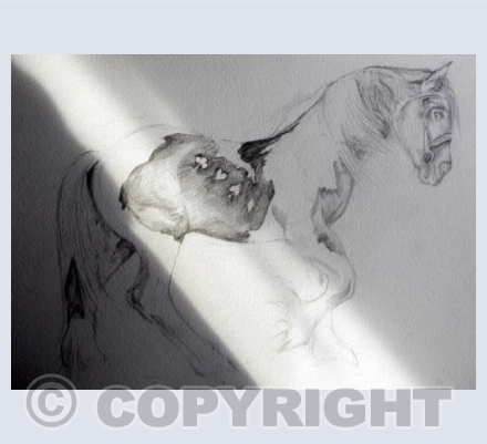 FORTUNE FAVORS THE BRAVE