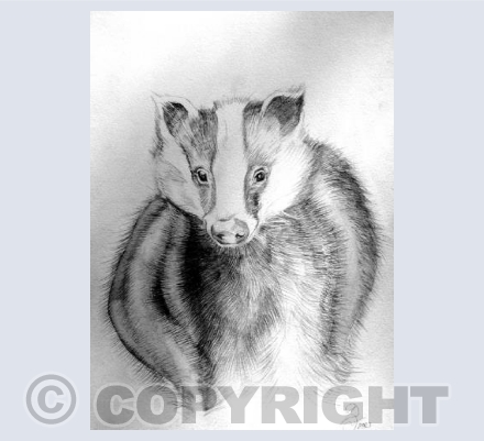 BADGER