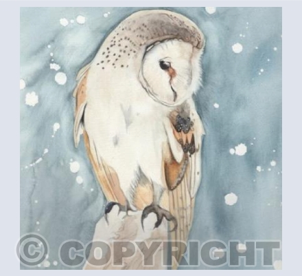 ALL SOULS OWL
