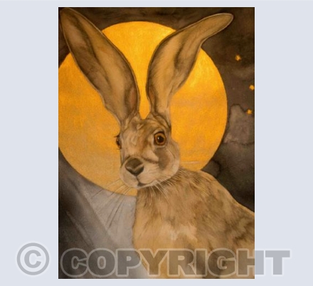 GOLDEN MOON HARE
