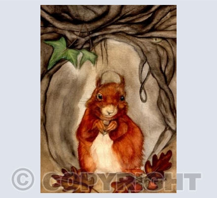 MISS SQUIRREL 