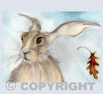 'OAK LEAF HARE'
