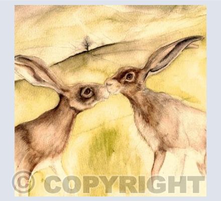 MEADOW KISS