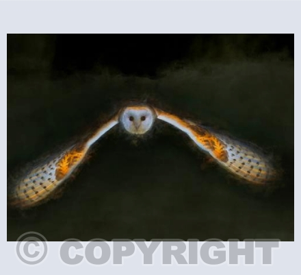 Night flight