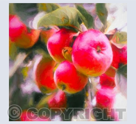 Fruit of life