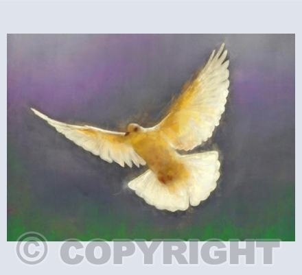 Angel of peace