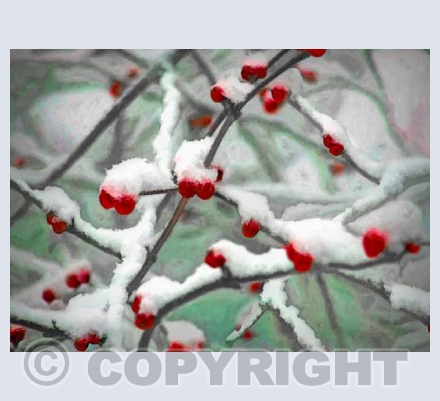 Berries of Scarlet