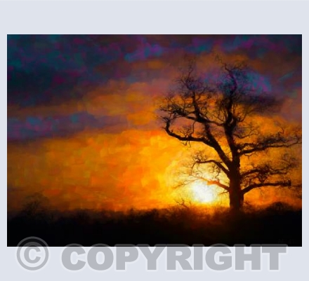 Tangerine Sky