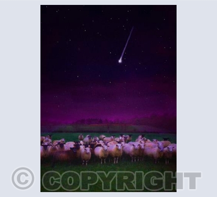 Flock by Night