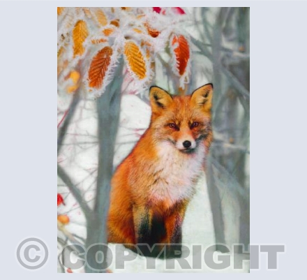 Pristine As Should Be