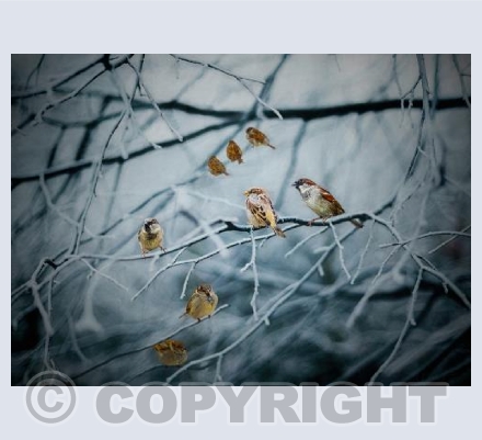 Teeming with Life