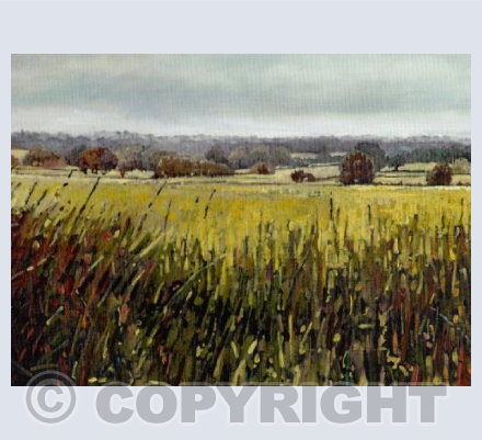 Towards Riseley