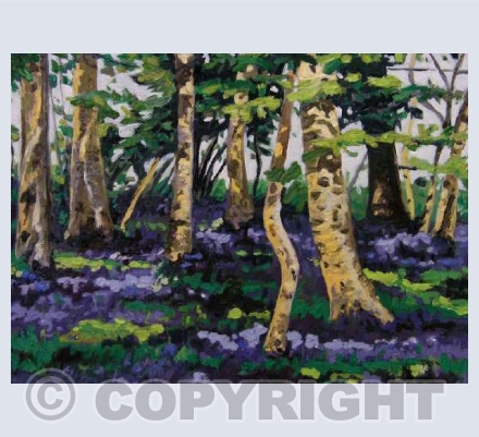 Bluebell Wood