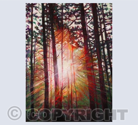 Sunburst