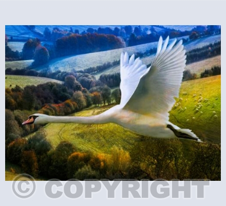 First flight of dawning day