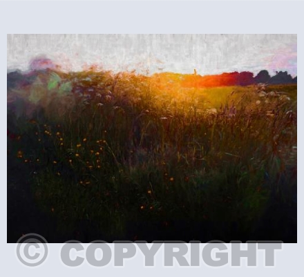 Midsummer glow