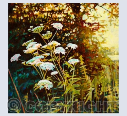 Summer hedgerow