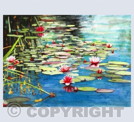 Waterlilies
