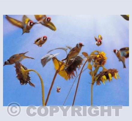 A Charm of Goldfinches