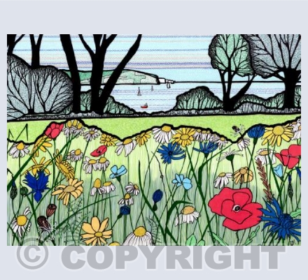 Wild flower border on Swanage Downs