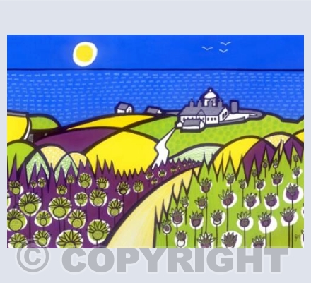 Flower Meadows at Durlston