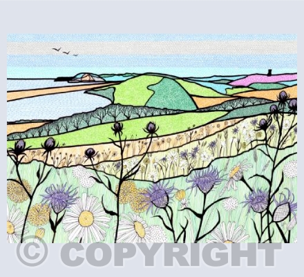 Flower Meadow Over The Fleet