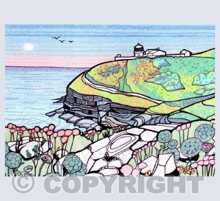 Coastal flowers at Anvil lighthouse, Durlston