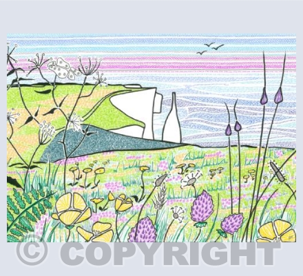 Meadow Flowers on Ballard Down