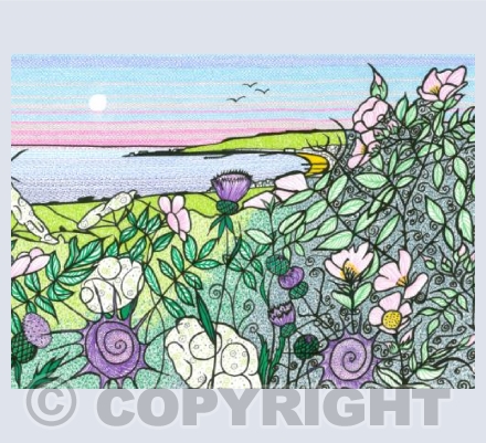 Hedgerow overlooking Swanage Bay