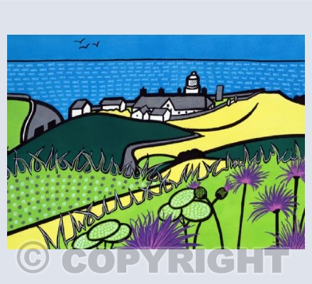 Thistles at Durlston 
