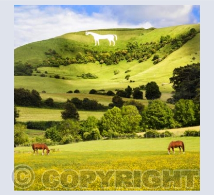 WL_25 Three Horses