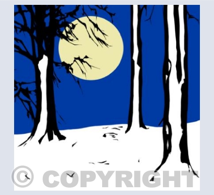 XS_18 Moonlight on Snow