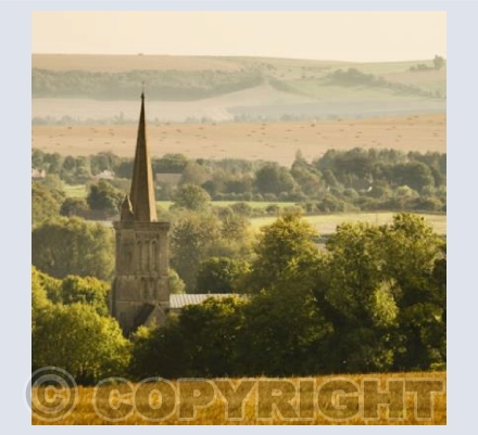 WL_04 Summers Swan Song