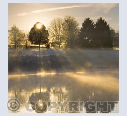 WL_05 Misty Morning