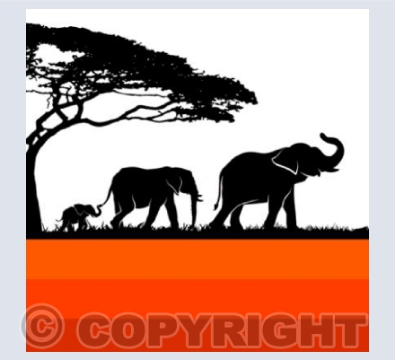 BD_02 Elephants on Patrol