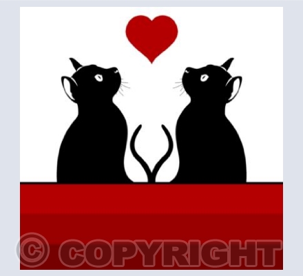 BD_03 Love Cats
