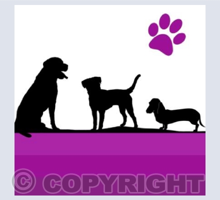 BD_04 Four Paw Friends